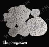 Скрапбук дизайнерски печати и надписи за картички-Печати за изработка на цветя