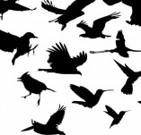 33/137/Скрапбук дизайнерски печати и надписи за картички-Скрапбукинг и миксмедия печати Птици-Силуети на птици